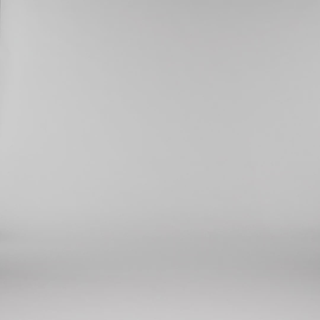 Allpa X 1.5L Hip Pack